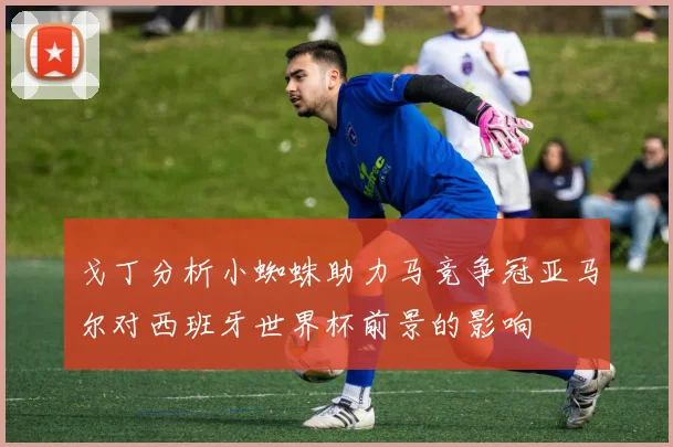 戈丁分析小蜘蛛助力马竞争冠亚马尔对西班牙世界杯前景的影响