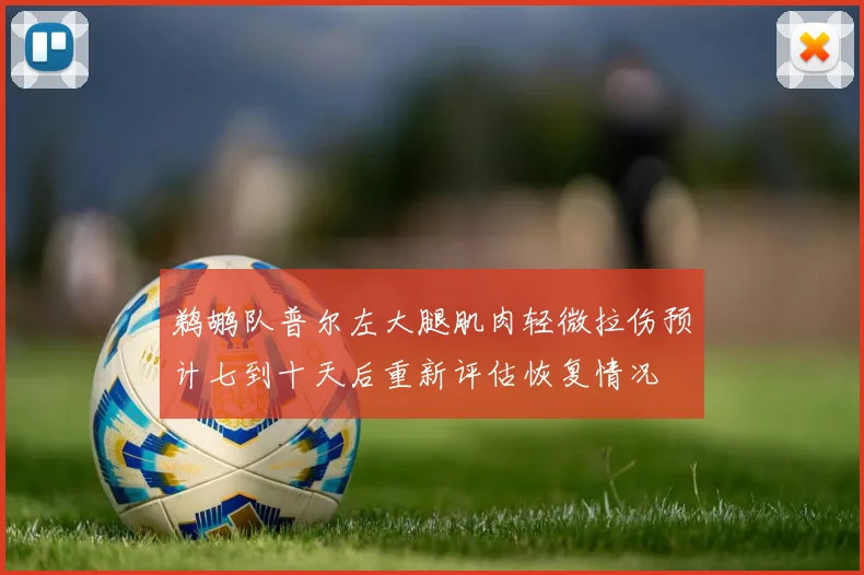 鹈鹕队普尔左大腿肌肉轻微拉伤预计七到十天后重新评估恢复情况